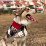 Capes - Burgundy Collar with Burberry Inspired Tartan - The Pet's Couture