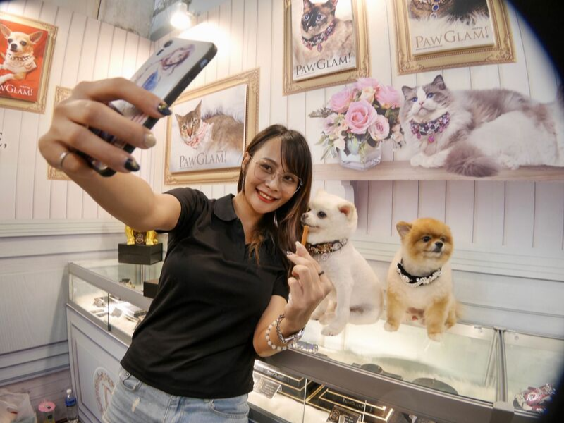 The Pet's Couture Goes To - Taipei Pet Expo 2019