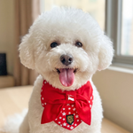 Paws Up For SG! Red Twinkle Knot Tie Bandana - The Pet's Couture