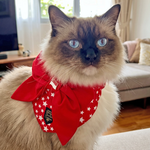 Paws Up For SG! Red Twinkle Knot Tie Bandana - The Pet's Couture