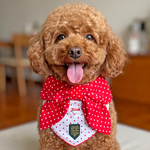 Paws Up For SG! Polka Knot Tie Bandana - The Pet's Couture