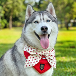 Paws Up For SG! Red Hearts on Cream Knot Tie Bandana - The Pet's Couture