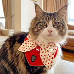 Paws Up For SG! Red Hearts on Cream Knot Tie Bandana - The Pet's Couture