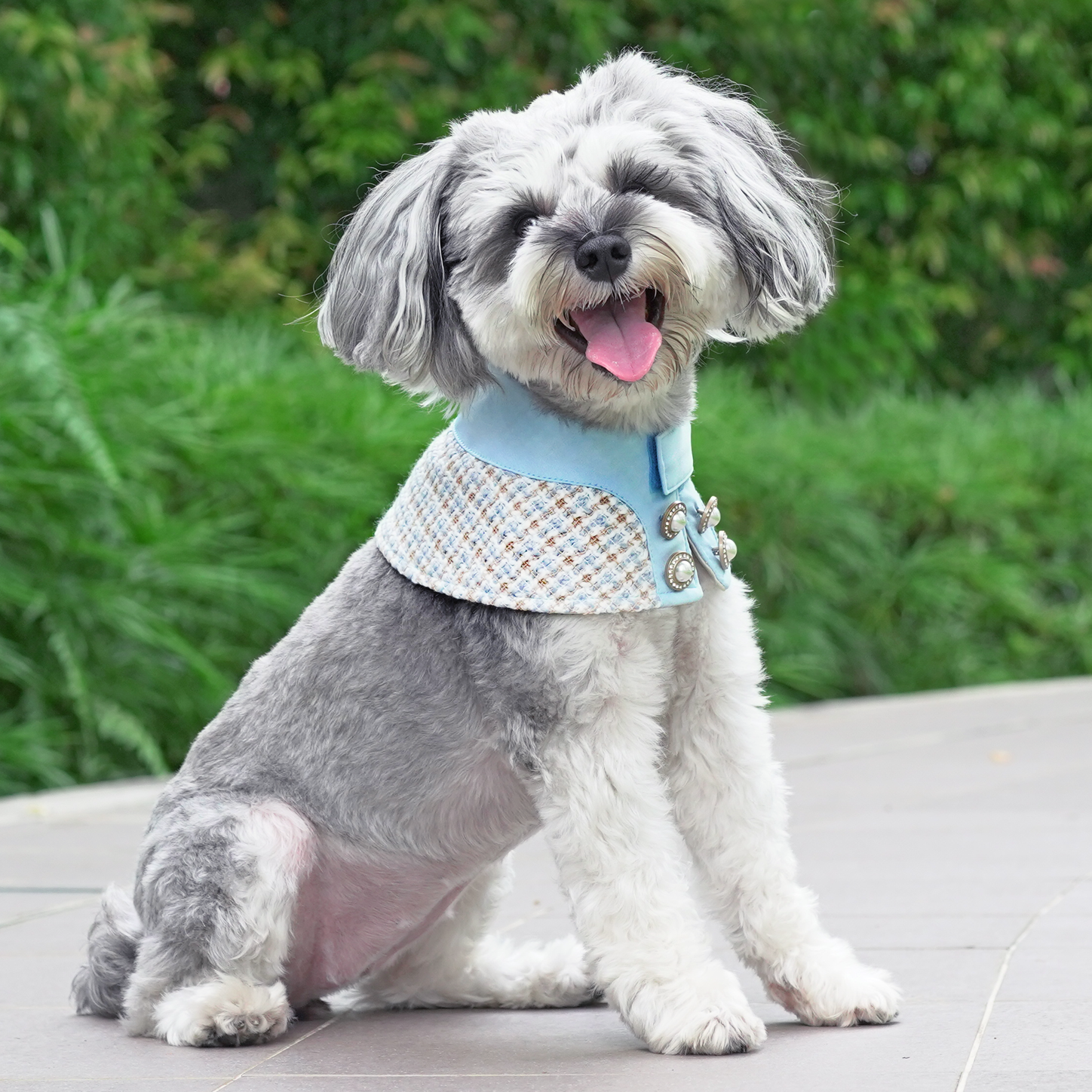 Chloe online baby jacket