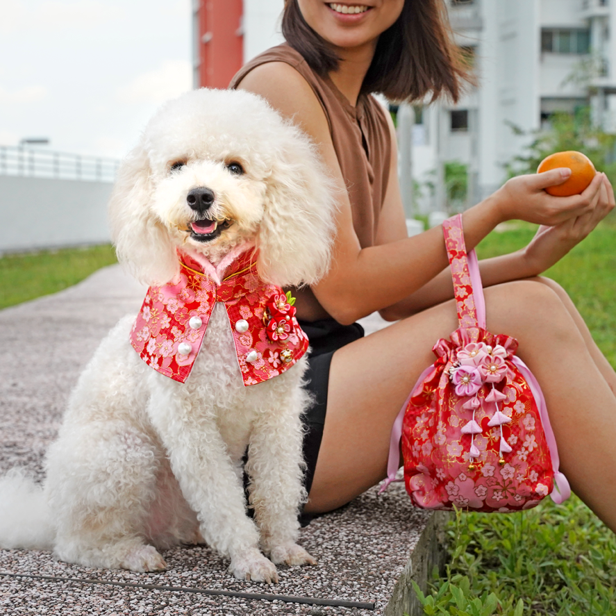 Twinning Spring Blossoms CNY Orange Pouch For Owners