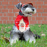 Paws Up! Starry Unisex Walking Cap