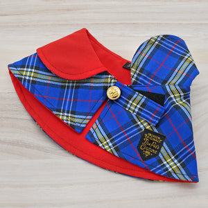 Red Collar with Blue Scottish Tartan Print