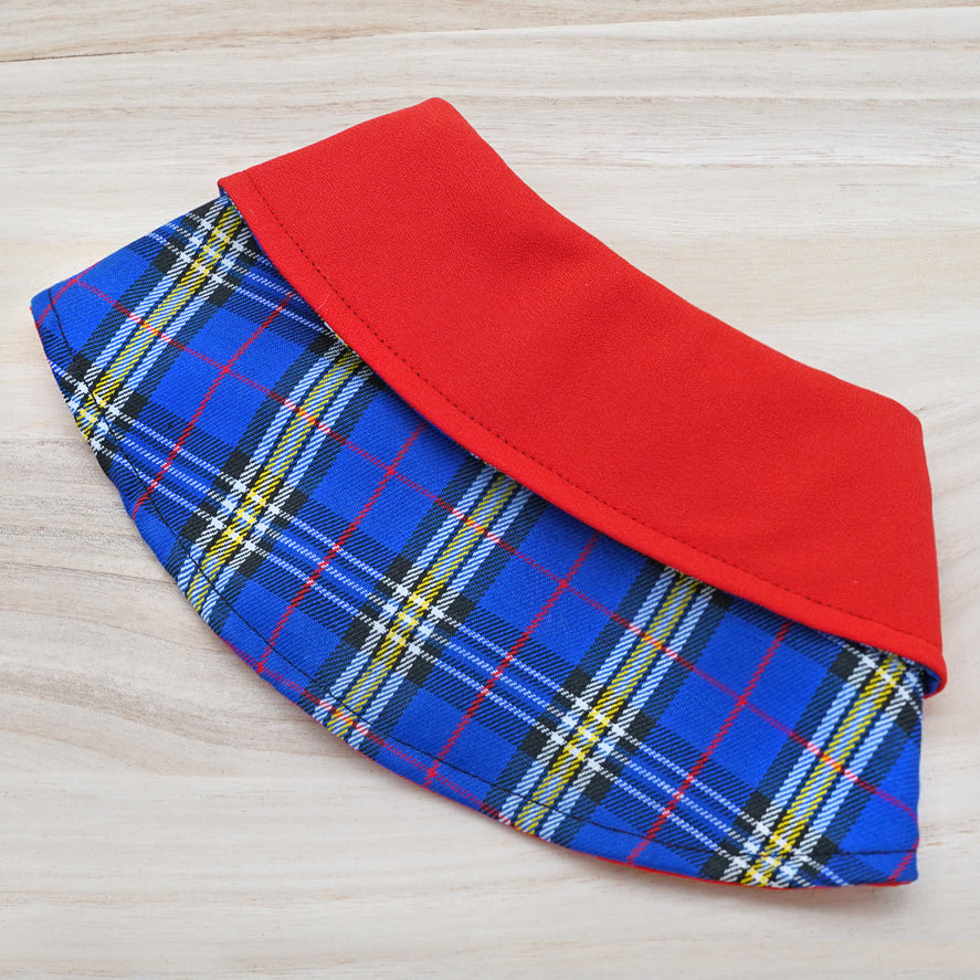 Red Collar with Blue Scottish Tartan Print