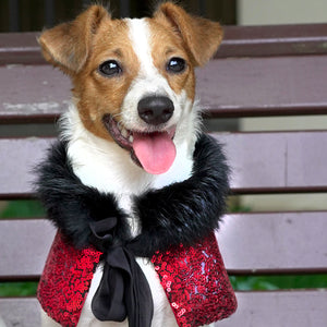 Oscar dé Scarlet in Sequined Chiffon Cape - The Pet's Couture