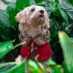 3 tone Brown Faux Fur Trench Coat in Maroon - The Pet's Couture