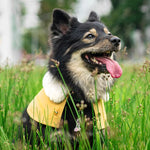 White Faux Fur Collar Trench Coat in Goldenrod - The Pet's Couture