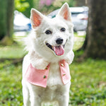 White Faux Fur Trench Coat in Blush - The Pet's Couture