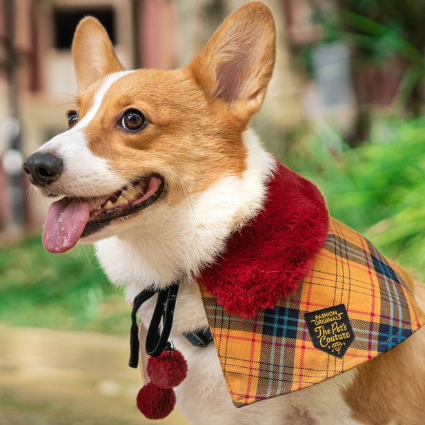 Scarlet Faux Fur Collar Trench Coat in Autumn Brown Tartan - The Pet's Couture