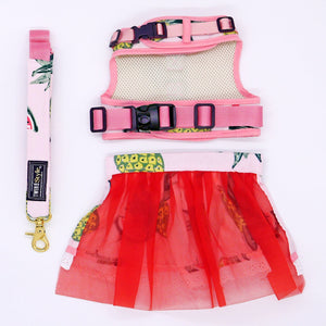 Tropical Fruits Harness Leash Set - Twin In Style (Skirt) - The Pet's Couture