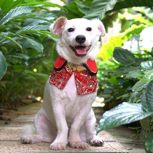 Spring Of Luck in Imperial Red CNY Cape - The Pet's Couture