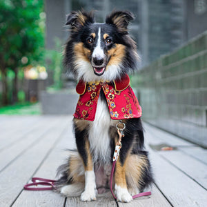 Spring Of Vitality in Garnet Gold Blossom CNY Cape - The Pet's Couture