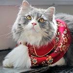 Spring Of Vitality in Garnet Gold Blossom CNY Cape - The Pet's Couture