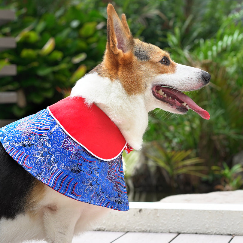 Spring Of Happiness in Imperial Red Azure CNY Cape - The Pet's Couture