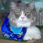 Spring Of Friendship in Golden Sapphire Blossoms CNY Cape - The Pet's Couture