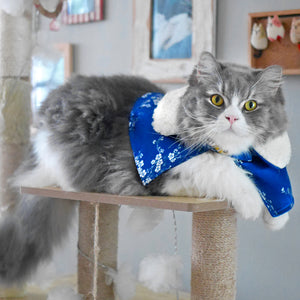 Spring Of Strength in Royal Blue Blossoms CNY Cape with Faux Fur Collar - The Pet's Couture