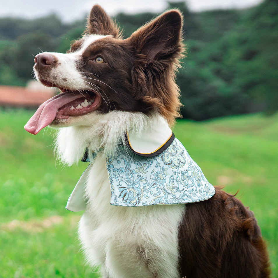 Spring Of Kindness in Aquamarine Corals CNY Cape - The Pet's Couture