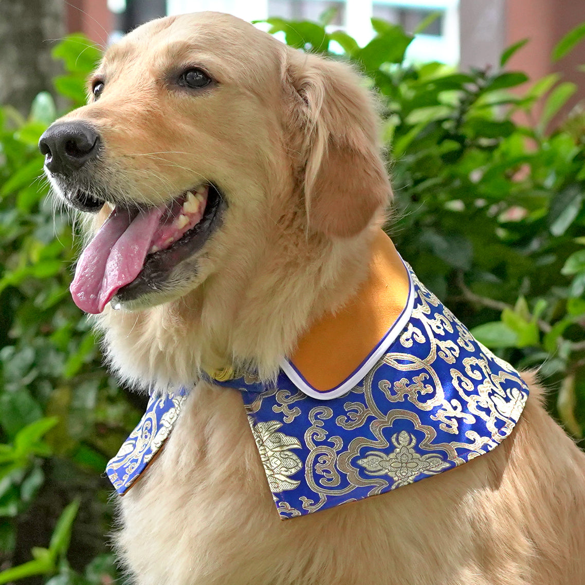 Spring Of Elegance in Medallion Egyptian Blue CNY Cape - The Pet's Couture