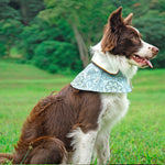 Spring Of Kindness in Aquamarine Corals CNY Cape - The Pet's Couture