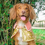 Spring Of Faith in Golden Apricot CNY Cape - The Pet's Couture