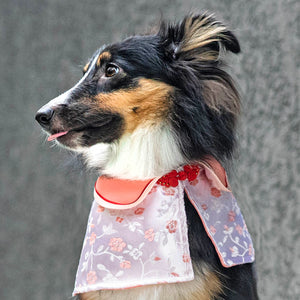 Spring Of Bliss in Blush CNY Cape - The Pet's Couture
