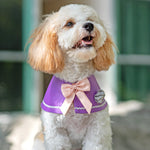 (NEW) Duchess Capes - Lilac - The Pet's Couture