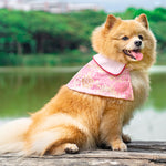 Spring Of Love in Golden Baby Pink CNY Cape - The Pet's Couture