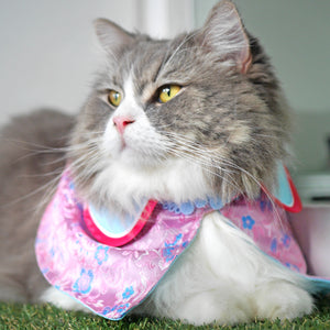 Spring Of Youth in Rose Pink Arctic Blue CNY Cape - The Pet's Couture