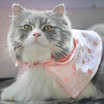 Spring Of Bliss in Blush CNY Cape - The Pet's Couture