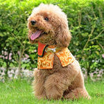 Spring Of Wealth in Mandarin Gold CNY Cape - The Pet's Couture