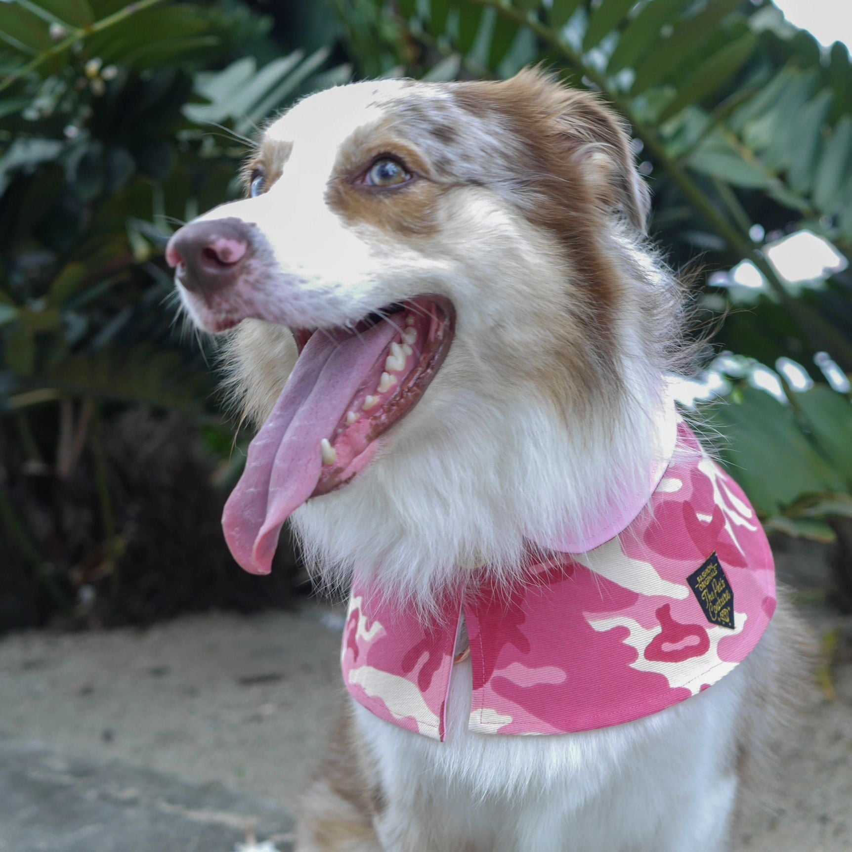 Capes - Pink Army Camo - The Pet's Couture