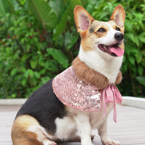 Oscar d Rose Gold in Fur Trim Collar Sequin Chiffon Cape Oscar d Rose Gold in Fur Trim Collar Sequin Chiffon Cape