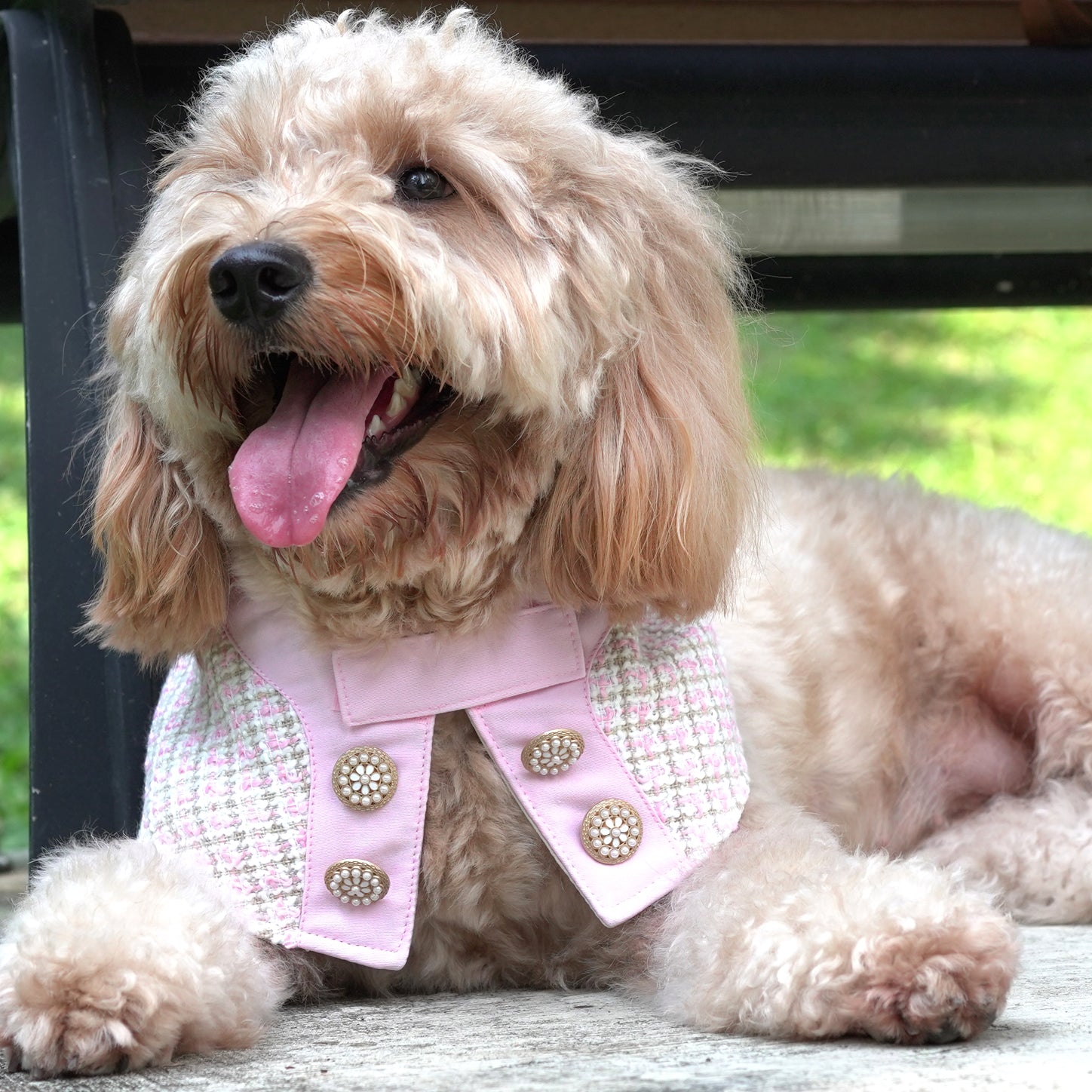 ROSÉA BLUSH ~ Baby Pink Boucle Tweed Jacket - The Pet's Couture