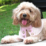 ROSÉA BLUSH ~ Baby Pink Boucle Tweed Jacket - The Pet's Couture