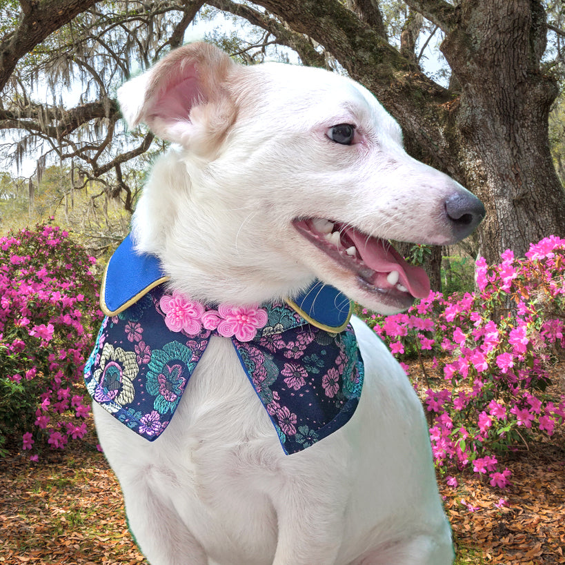 Spring Of Smiles in Blueberry Pink Blossoms CNY Cape - The Pet's Couture