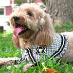 SONIA CHIC ~ Frayed Edge Harringbone Tweed Jacket - The Pet's Couture