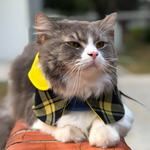 Capes - The Bumblebee - The Pet's Couture