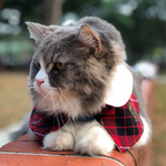 Capes - Cream Collar with Burgundy Tartan Prints - The Pet's Couture