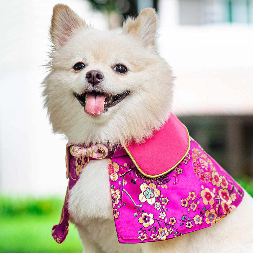 Spring Of Blossoms in Fuchsia CNY Cape - The Pet's Couture