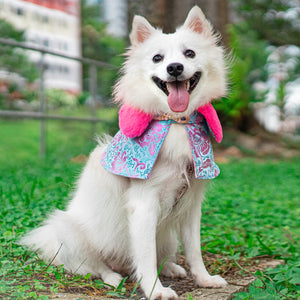 Spring Of Abundance in Baby Blue CNY Cape with Faux Fur Collar - The Pet's Couture